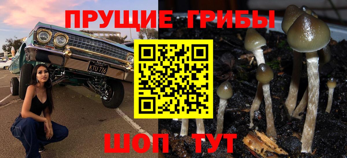 Галлюциногенные грибы MAGIC MUSHROOMS  Вход с VPN  Псилоцибиновые грибы GOLDEN TEACHER  Можга 